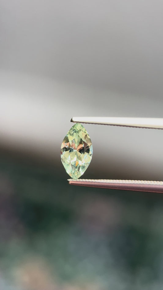 1.15ct Montana Sapphire