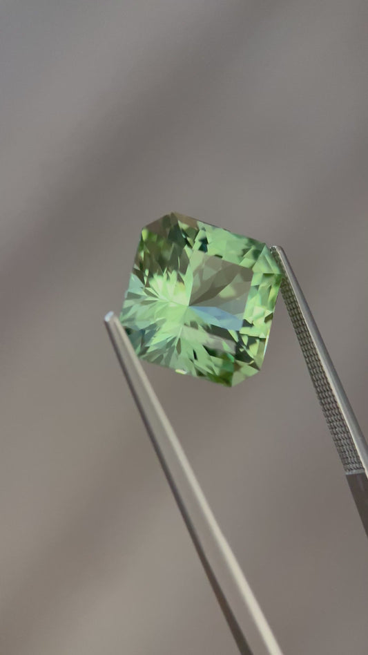 9.27ct Congo Tourmaline